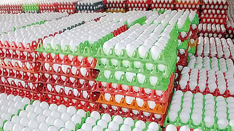 நாமக்கல்லில் முட்டை விலை தொடர்ந்து அதிகரிப்பு.!