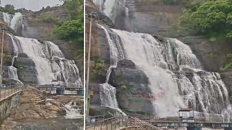 3 மாதங்களுக்கு பிறகு.. குற்றாலம் மெயின் அருவியில் குளிக்க சுற்றுலா பயணிகளுக்கு அனுமதி