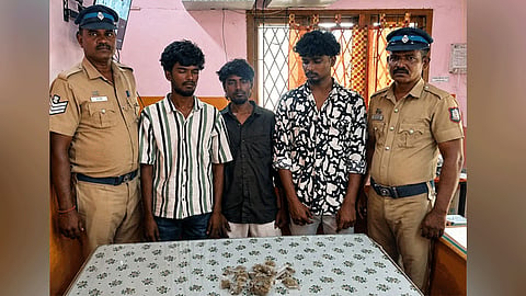 3 வாலிபர்கள் கைது
