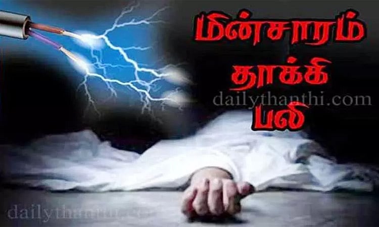 கள்ளக்குறிச்சி: மின்சாரம் தாக்கி விவசாயி பலி