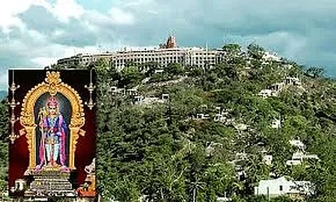 பழனி முருகன் கோவிலில் வைகாசி மாத கார்த்திகை உற்சவ விழா; திரளான பக்தர்கள் சாமி தரிசனம்