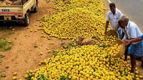 கிருஷ்ணகிரியில் சாலையோரம் கொட்டப்பட்ட மாம்பழங்கள்: போதிய விலை கிடைக்காததால் விவசாயிகள் விரக்தி