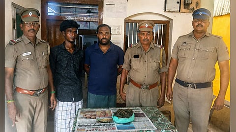 கஞ்சா பறிமுதல், கைது 