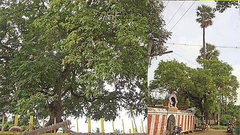 கோவை பேரூர் பட்டீஸ்வரர் கோவில்