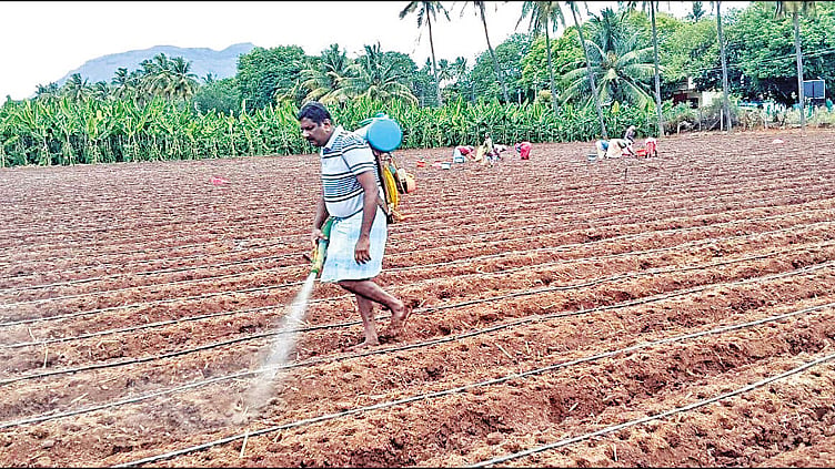 கேன்களில் பெட்ரோல்-டீசல் வழங்காததால் விவசாயிகள் கடும் பாதிப்பு: விலக்கு அளிக்க வலியுறுத்தல்