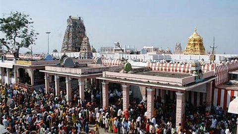 பழனி முருகன் கோவிலில் விரைவு தரிசனம் செய்ய பக்தர்களிடம் ரூ.3 ஆயிரம் லஞ்சம் பெற்ற காவலாளி பணி நீக்கம்