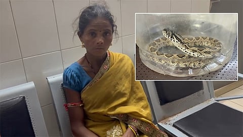 தன்னை கடித்த பாம்பை கையோடு ஆஸ்பத்திரிக்கு கொண்டு வந்த பெண் - சிகிச்சைக்கு உதவியதாக டாக்டர்கள் பாராட்டு 
