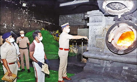 தஞ்சை அருகே 247 கிலோ கஞ்சா தீயிட்டு அழிப்பு