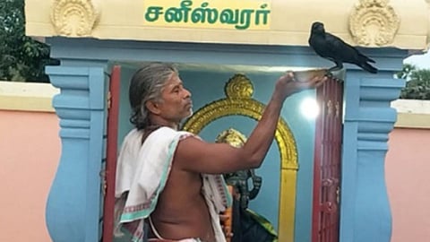 சனீஸ்வரர் சன்னதிக்கு தினமும் வரும் காகம்