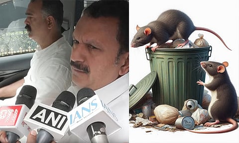 கேரளாவில் எலிக்காய்ச்சல் பரவல்:  2 பேர் பலி; 9 பேருக்கு பாதிப்பு உறுதி
