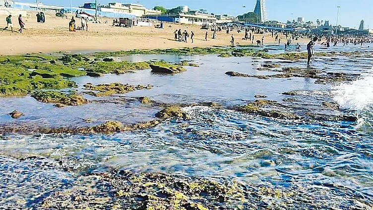 Sea Recedes 100 Feet Near Thiruchendur Temple, Devotees Warned After Standing on Exposed Rocks
