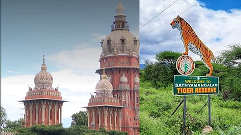 சத்தியமங்கலம் புலிகள் சரணாலயம் - சட்டவிரோதமாக செயல்பட்ட மேலும் 42 ரிசார்ட்டுகளுக்கு சீல்