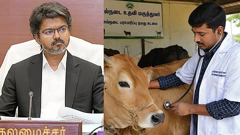 கால்நடை உதவி மருத்துவர்