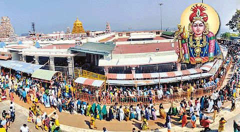விடுமுறை தினம்: பழனி முருகன் கோவிலில் குவிந்த பக்தர்கள்