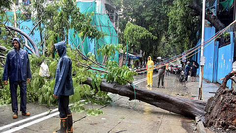 
கனமழை எதிரொலி; மும்பை உள்பட 3 மாவட்டங்களில் பள்ளி, கல்லூரிகளுக்கு இன்று விடுமுறை
