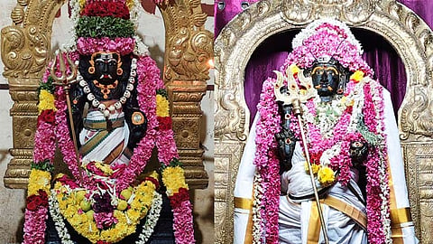 ஆனி மாத தேய்பிறை அஷ்டமியை முன்னிட்டு நாகையில் உள்ள சிவன் கோவில்களில் பைரவருக்கு சிறப்பு வழிபாடு நடைபெற்றது.