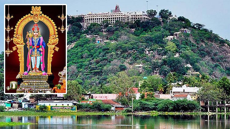 பழனி முருகன் கோவிலில் கடந்த ஓராண்டில் மட்டும் இவ்வளவு வருவாயா...?