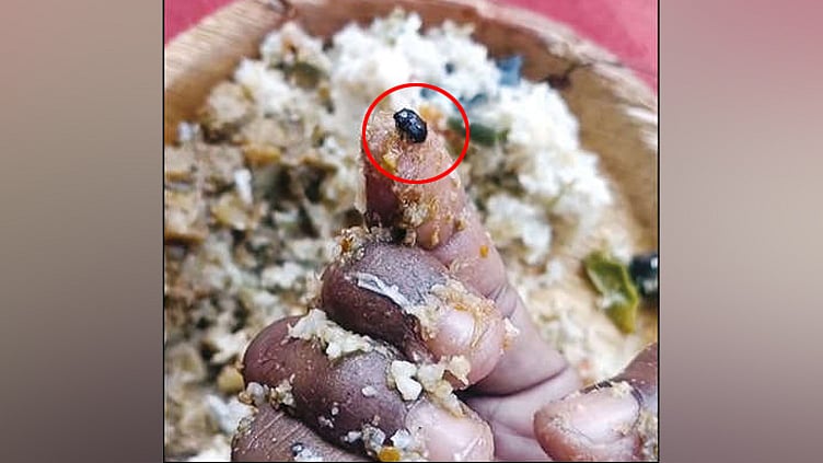 தூய்மை பணியாளர்களுக்கு வழங்கிய உணவில் கருப்பு வண்டு: அதிகாரிகள் விசாரணை