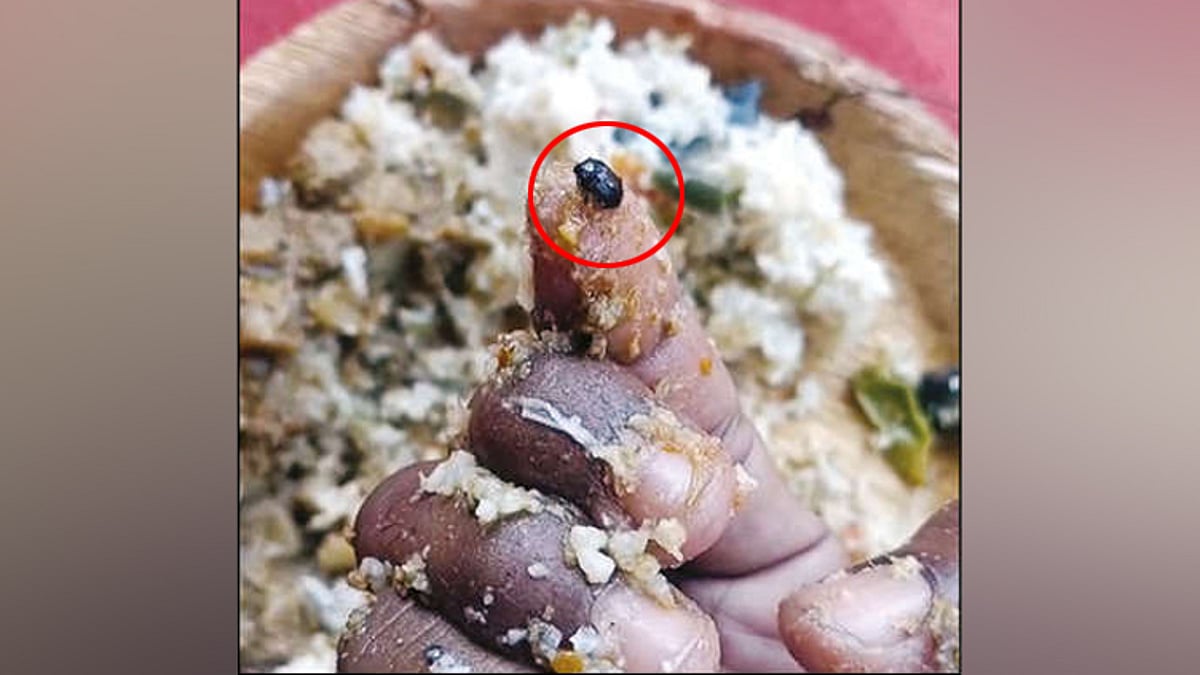 தூய்மை பணியாளர்களுக்கு வழங்கிய உணவில் கருப்பு வண்டு: அதிகாரிகள் விசாரணை