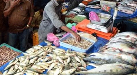 ஞாயிறு விடுமுறை: காசிமேட்டில் மீன் வாங்க குவிந்த அசைவ பிரியர்கள்