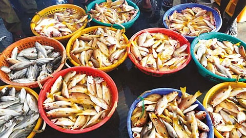 மீன் வரத்து குறைவால், விலை அதிகரிப்பு 