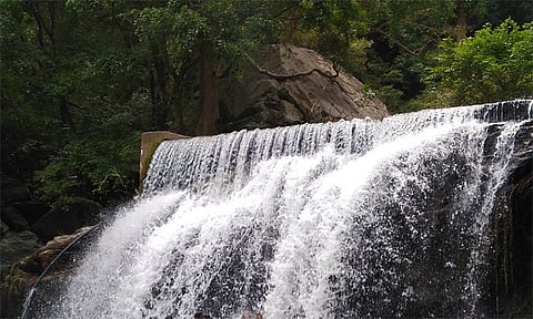 கோப்புப்படம்