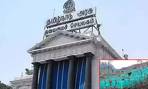 சென்னை 12 லட்சம் மரக்கன்றுகள் நடவு திட்டம்