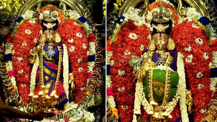 நெல்லையப்பர் கோவிலில் ஆடிப்பூர விழா; காந்திமதி அம்பாளுக்கு முளைகட்டு உற்சவம்