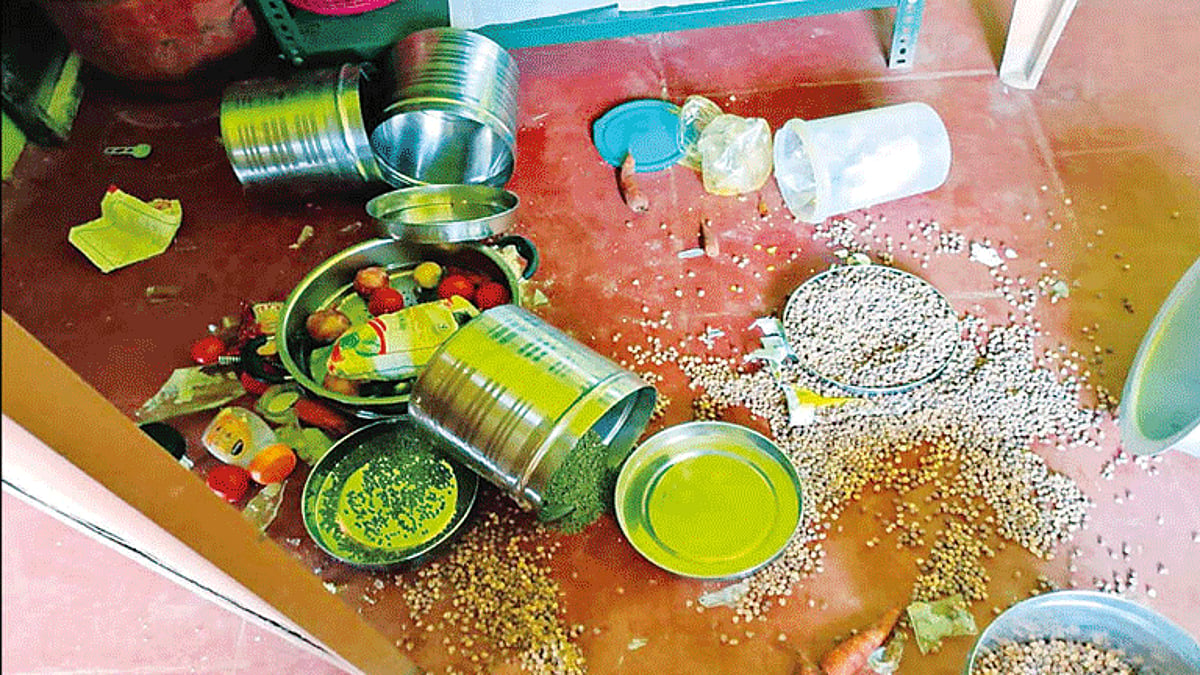 நீலகிரி: அங்கன்வாடி மையத்தை சூறையாடிய கரடி - மக்கள் அச்சம்