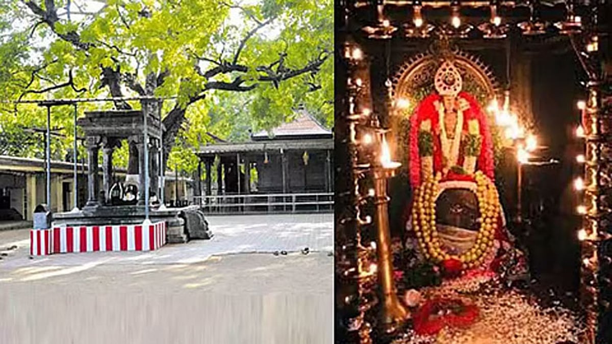 ஏரல் சேர்மன் அருணாச்சலசாமி கோவில் ஆடி அமாவாசை திருவிழா ஆக. 3-ந்தேதி கொடியேற்றத்துடன் தொடங்குகிறது