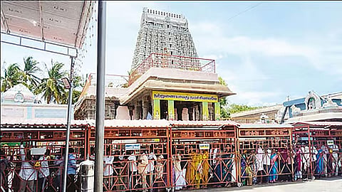 விடுமுறை தினத்தையொட்டி திருவண்ணாமலையில் குவிந்த பக்தர்கள்; 3 மணி நேரம் காத்திருந்து சாமி தரிசனம்