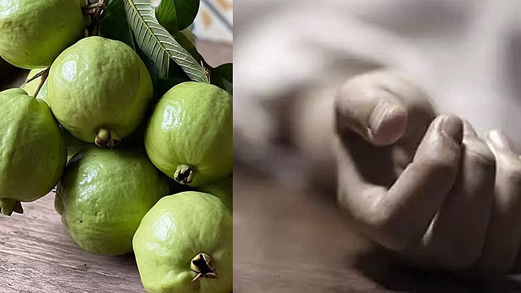 கொய்யாப்பழம் பறித்த போது பரிதாபம்: மாடியில் இருந்து தவறி விழுந்த பெண் உயிரிழப்பு