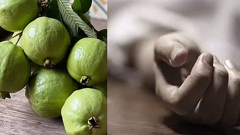 கோப்புப்படம்