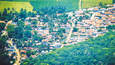 
வனத்துறை
