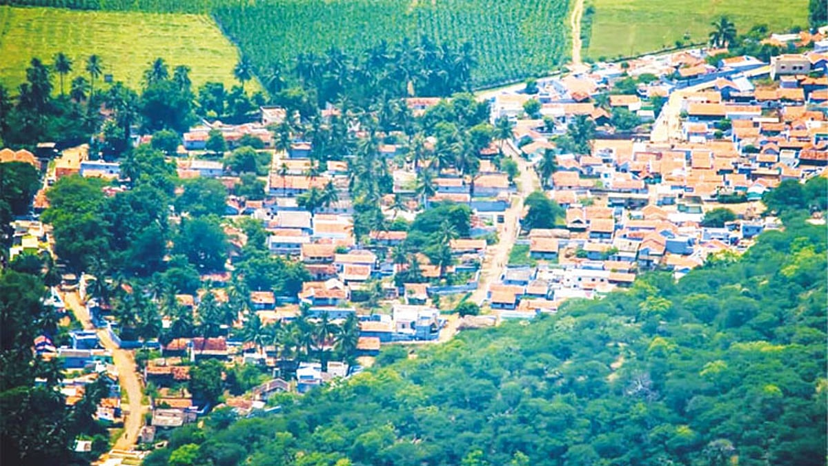 இயற்கை அதிசயம் 'தெங்குமரஹாடா; எங்கே இருக்கு தெரியுமா?