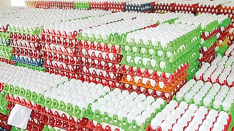 நாமக்கல்லில் 30 காசுகள் குறைந்த முட்டை விலை