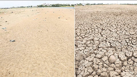 வறண்டு வரும் நீர்நிலைகள்... திருச்சியில் குடிநீர் தட்டுப்பாடு ஏற்படும் அபாயம்
