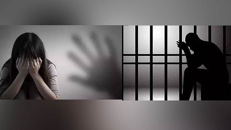 சென்னையில் பள்ளி மாணவிக்கு பாலியல் தொந்தரவு: வாலிபருக்கு 20 ஆண்டு சிறை தண்டனை