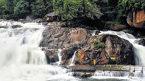 மணிமுத்தாறு அருவி