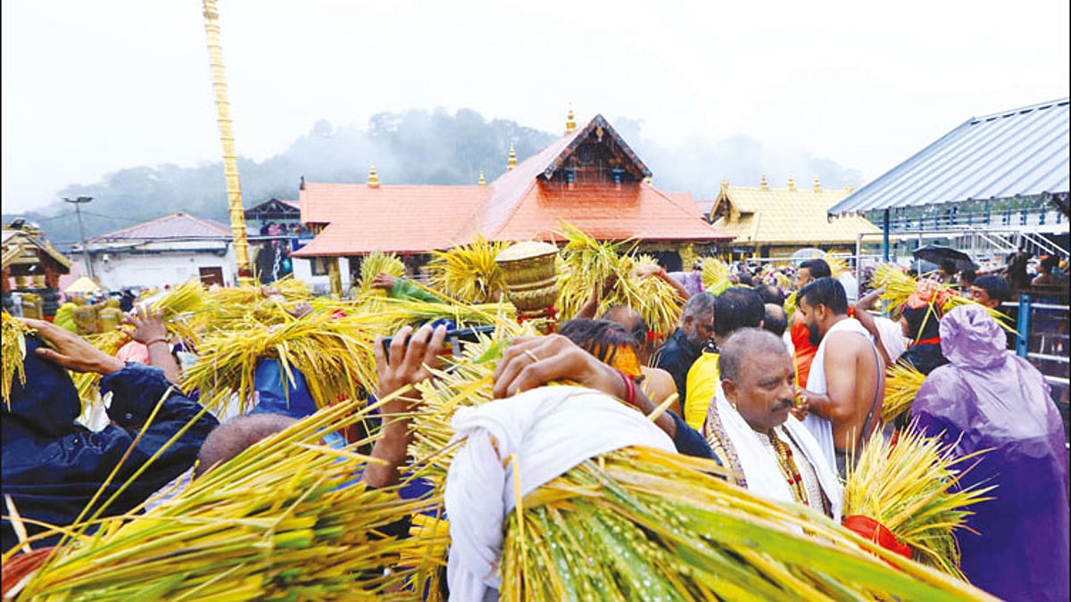 சபரிமலையில் நிறை புத்தரிசி பூஜை: நெற்கதிர்களை காணிக்கையாக செலுத்தி பக்தர்கள் வழிபாடு