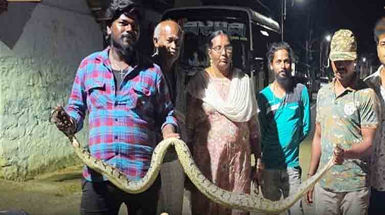 ஊருக்குள் புகுந்த 9 அடி நீள மலைப்பாம்பு:  பொதுமக்கள் பீதி!  