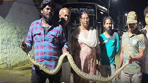 குடியிருப்பு பகுதிக்குள் புகுந்த 9 அடி நீளமுள்ள ராட்சத மலைப்பாம்பை வனத்துறையினர் பத்திரமாக பிடித்தனர்.
