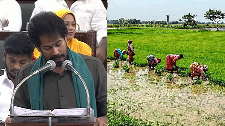 
விவசாயிகள் நலனிற்காக பயிர் கடன் ரூ.17,000 கோடி; இலவச மின்சாரத்திற்கு ரூ.7,432 கோடி ஒதுக்கீடு
