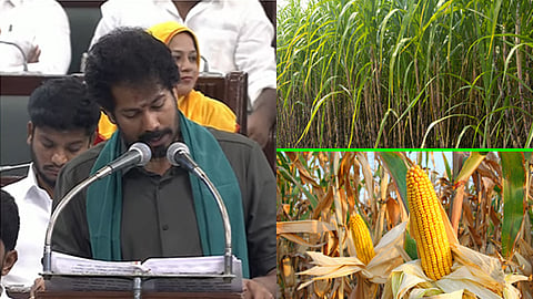 
வேளாண் பட்ஜெட்:  விவசாயத்திற்கு வழங்கப்படும் முக்கிய திட்டங்கள் என்னென்ன?
