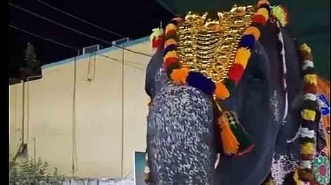 ராமநாதசுவாமி திருக்கோயில் யானை ராமலட்சுமி, வீதியுலாவின் போது சுடச்சுட பில்டர் காபியை ருசித்துக் குடித்தது.