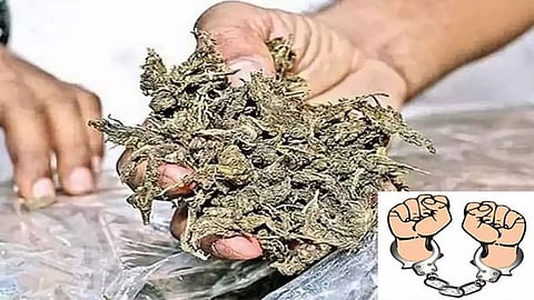 கஞ்சா பறிமுதல், வாலிபர் கைது 