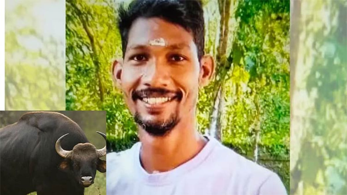 கேரளா: காட்டெருமை தாக்கியதில் அரசு ஊழியர் பலி