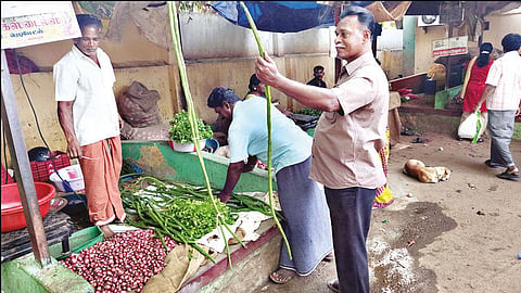 5 அடி முருங்கைக்காய்