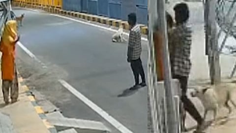 காமுகனை விரட்டி விரட்டி கடித்த நாய்