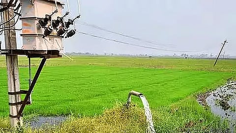 வேளாண் மேம்பாட்டு பணிகளுக்கு ரூ.5 லட்சம் வரை கடன்: கூட்டுறவு வங்கிகளில் புதிய திட்டம்